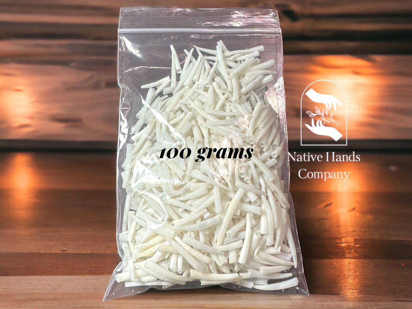 SMALL Tusk Shell Dentalium Shells 3/8” - 1” 100 Grams